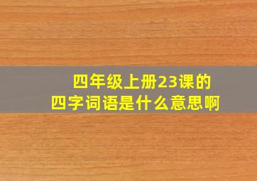 四年级上册23课的四字词语是什么意思啊