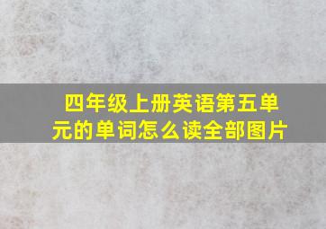 四年级上册英语第五单元的单词怎么读全部图片