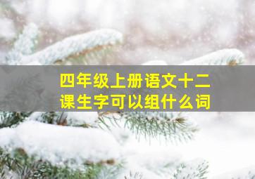 四年级上册语文十二课生字可以组什么词