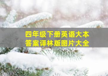 四年级下册英语大本答案译林版图片大全