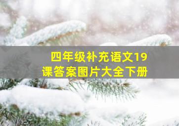 四年级补充语文19课答案图片大全下册