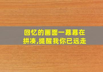 回忆的画面一幕幕在拼凑,提醒我你已远走