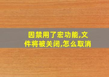 因禁用了宏功能,文件将被关闭,怎么取消