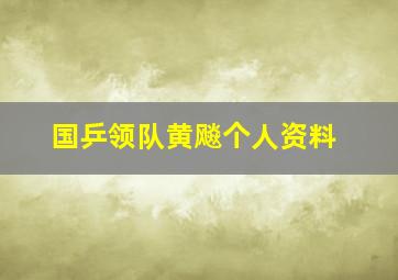 国乒领队黄飚个人资料