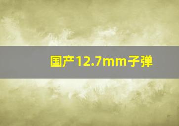 国产12.7mm子弹