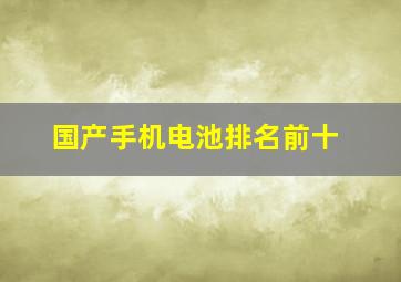 国产手机电池排名前十