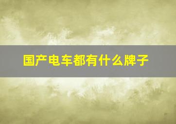 国产电车都有什么牌子