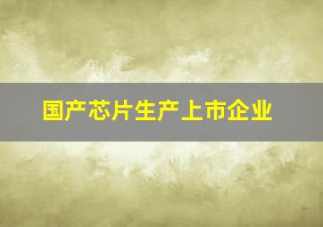 国产芯片生产上市企业