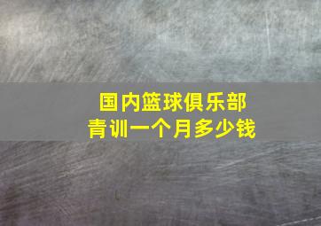 国内篮球俱乐部青训一个月多少钱