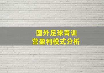 国外足球青训营盈利模式分析