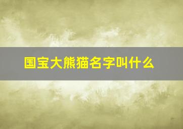 国宝大熊猫名字叫什么