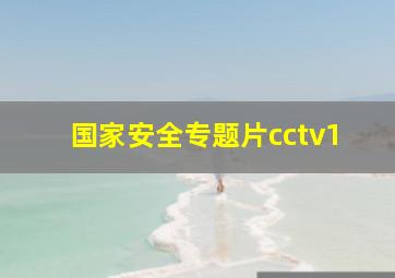 国家安全专题片cctv1