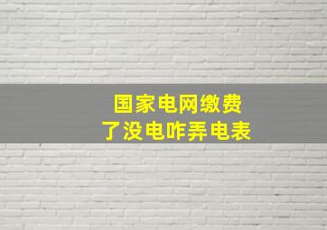 国家电网缴费了没电咋弄电表