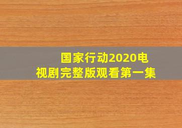 国家行动2020电视剧完整版观看第一集