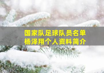 国家队足球队员名单杨泽翔个人资料简介