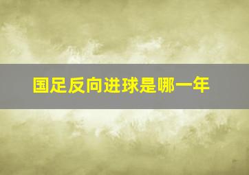 国足反向进球是哪一年