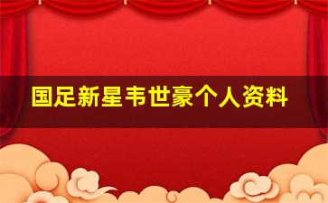 国足新星韦世豪个人资料