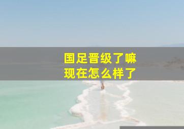 国足晋级了嘛现在怎么样了