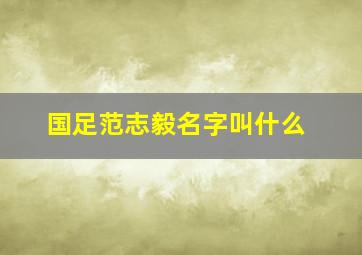 国足范志毅名字叫什么