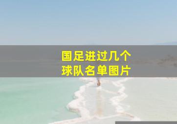 国足进过几个球队名单图片