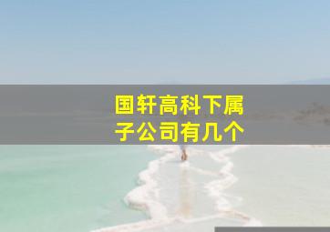 国轩高科下属子公司有几个