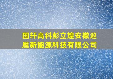 国轩高科彭立煌安徽巡鹰新能源科技有限公司