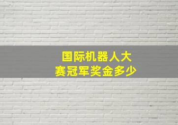 国际机器人大赛冠军奖金多少