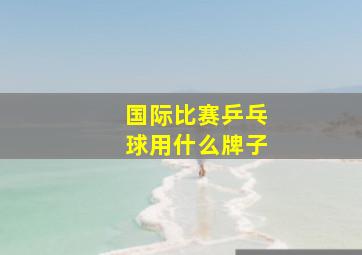 国际比赛乒乓球用什么牌子