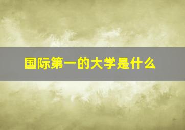 国际第一的大学是什么