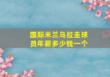 国际米兰乌拉圭球员年薪多少钱一个