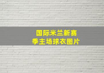 国际米兰新赛季主场球衣图片