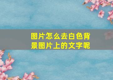 图片怎么去白色背景图片上的文字呢