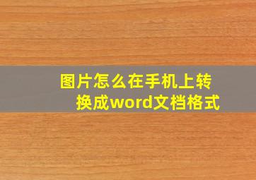 图片怎么在手机上转换成word文档格式