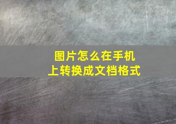 图片怎么在手机上转换成文档格式