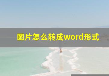 图片怎么转成word形式