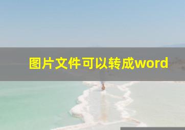 图片文件可以转成word