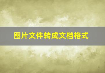 图片文件转成文档格式