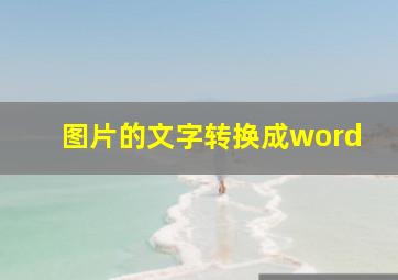 图片的文字转换成word