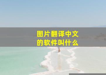 图片翻译中文的软件叫什么