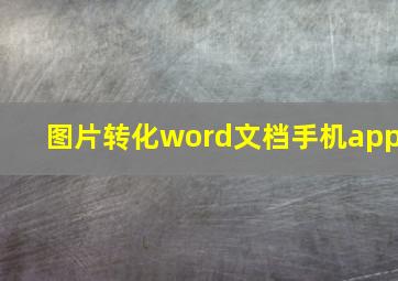 图片转化word文档手机app