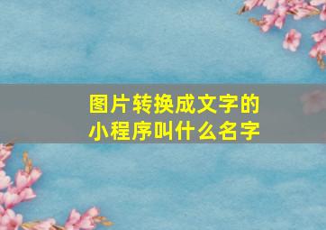 图片转换成文字的小程序叫什么名字