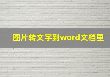 图片转文字到word文档里