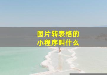 图片转表格的小程序叫什么