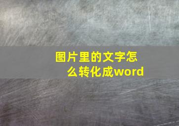 图片里的文字怎么转化成word