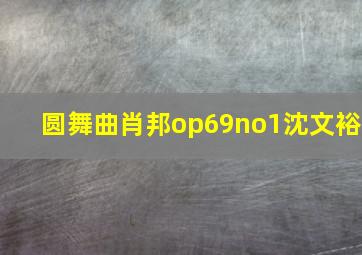 圆舞曲肖邦op69no1沈文裕