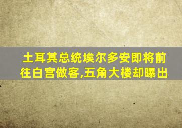 土耳其总统埃尔多安即将前往白宫做客,五角大楼却曝出