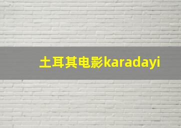 土耳其电影karadayi