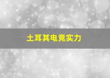 土耳其电竞实力