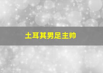 土耳其男足主帅