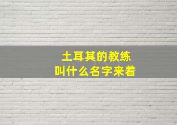 土耳其的教练叫什么名字来着